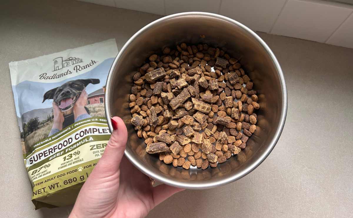 How Dr Martys Dog Food Promotes Joint and Immune Health