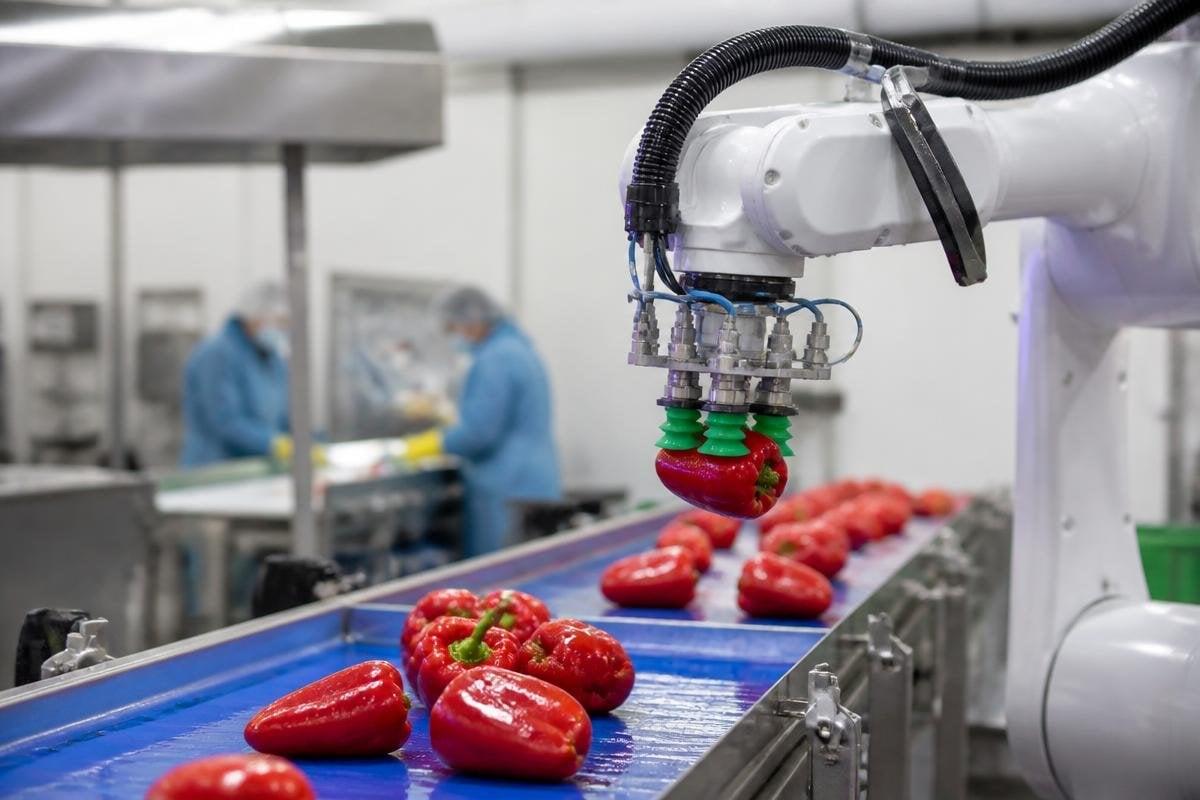 food-processing-robots-will-need-better-handling-before-wider-use-1200x800-v1.jpg